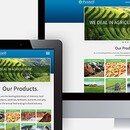 Pestell Web Rebrand
